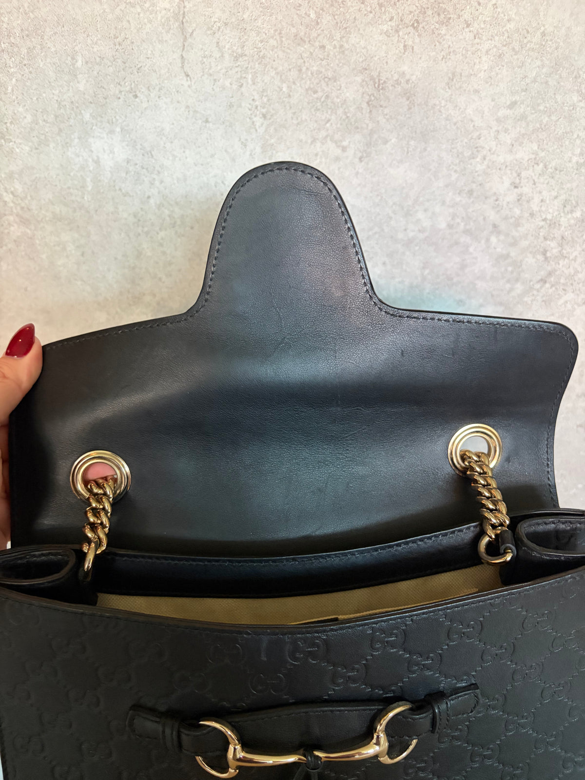 Emily Chain Flap Large