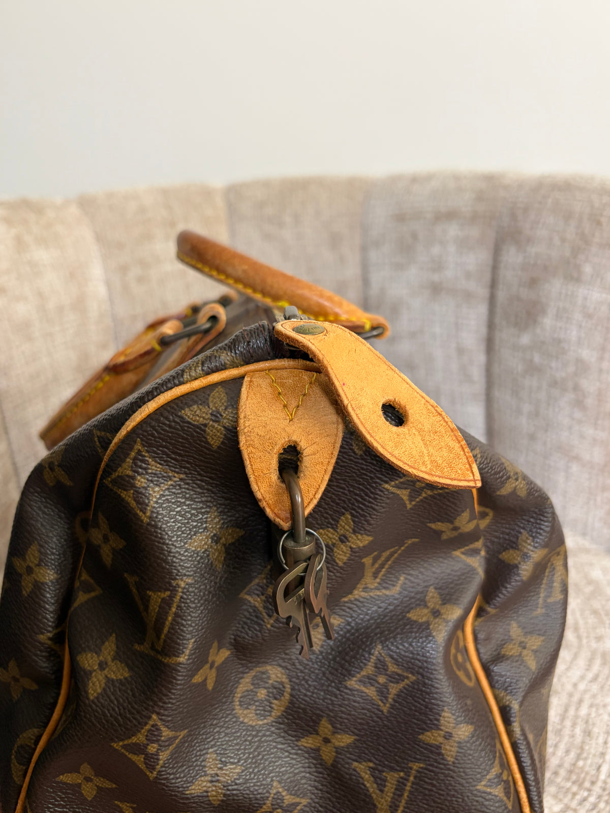 Louis Vuitton Speedy 30 Monogram Canvas, close-up