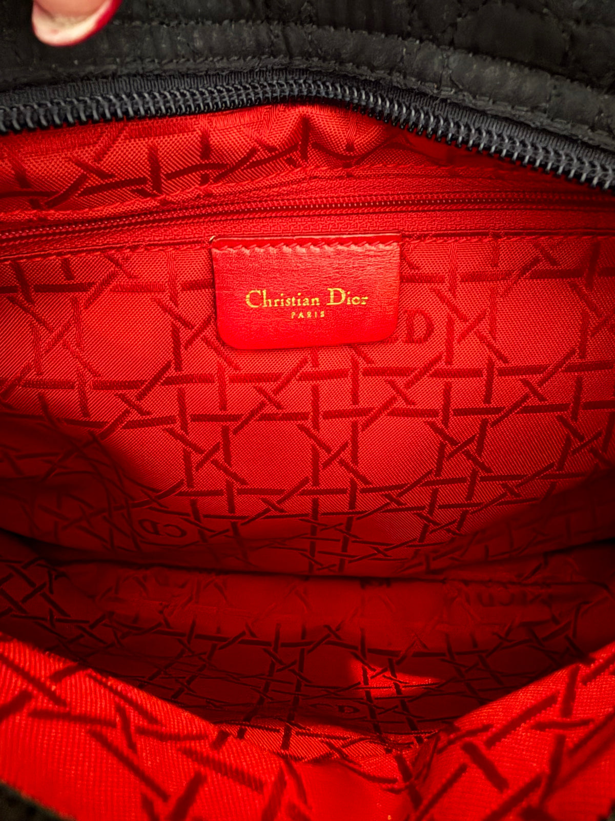 Christian Dior Canage Handbag